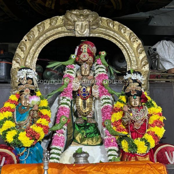 ஸ்ரீரங்கம் போல் சென்னையில் நம்மாழ்வார் மோட்ச உற்சவம்